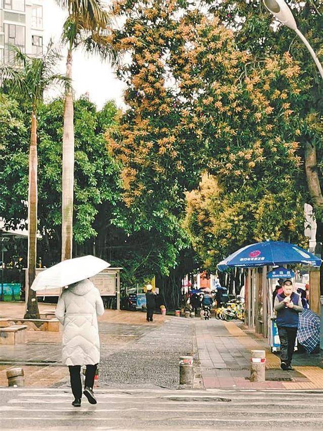 厦门这波降温咋这么猛？好消息：明起逐渐回暖……