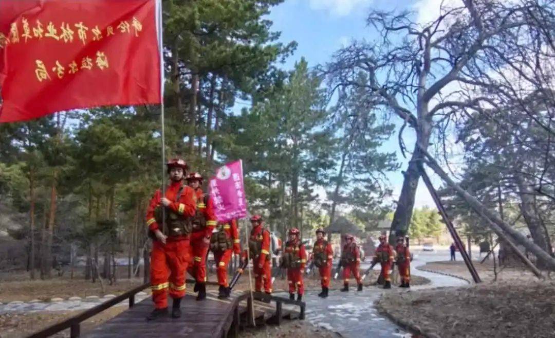 “五一”期间我区实现森林草原防火“零火情”